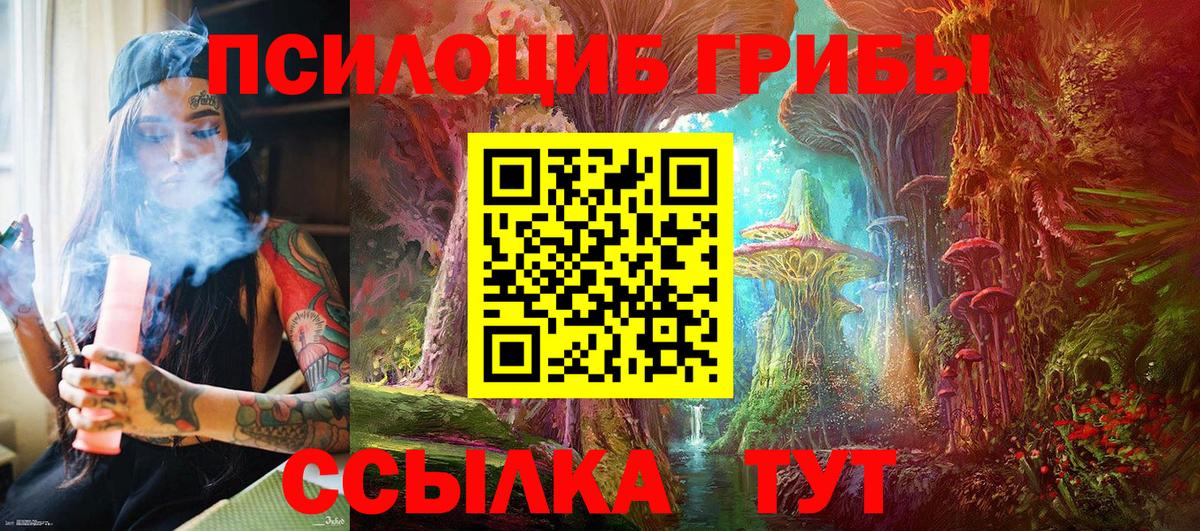 Галлюциногенные грибы Psilocybine cubensis Серов